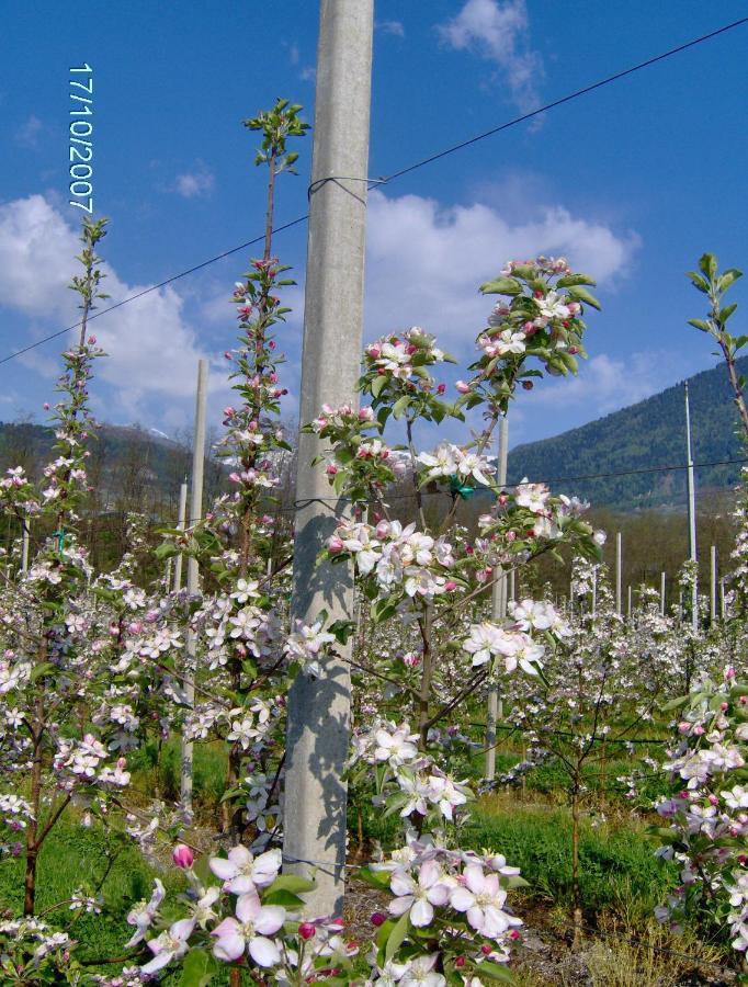 Agritur Affittacamere Capra Mauro Carzano  Экстерьер фото